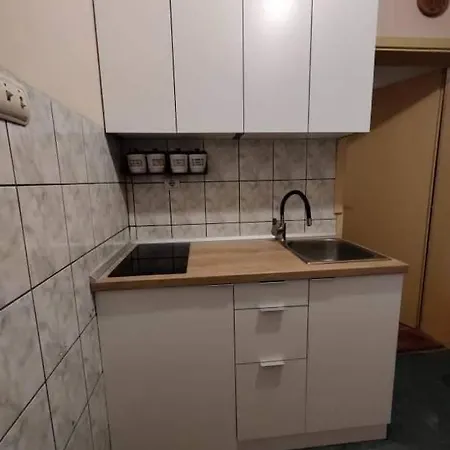 Gogi Pensjonat Zlatibor